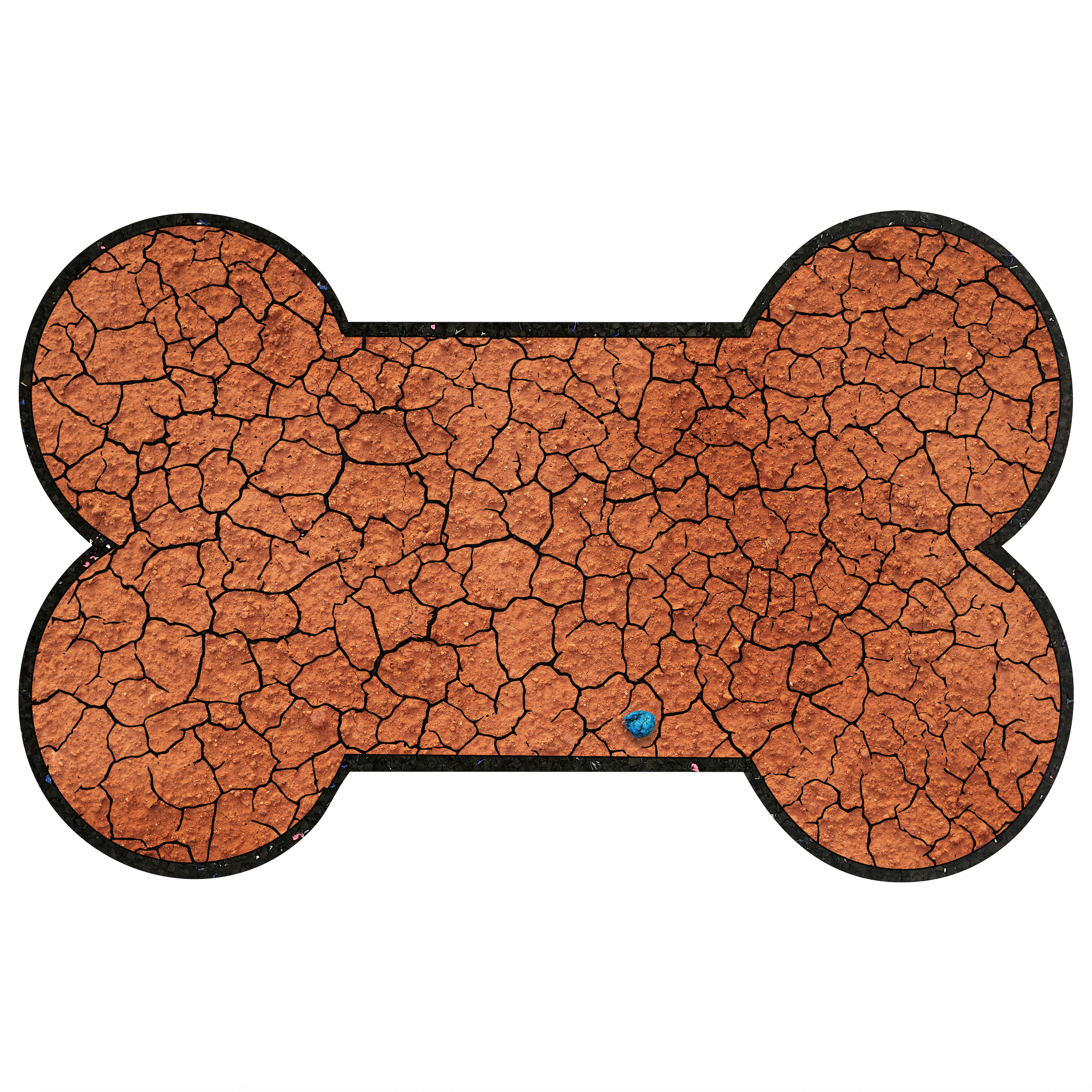 Calcareous Soil Bone